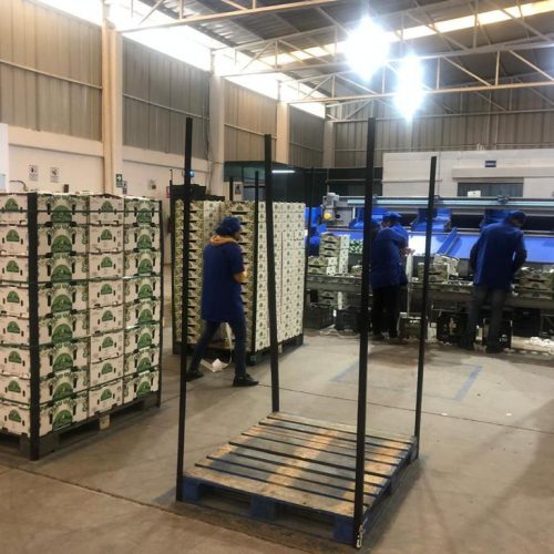 WhatsApp Image 2022-02-09 at 09.00.27 (1)