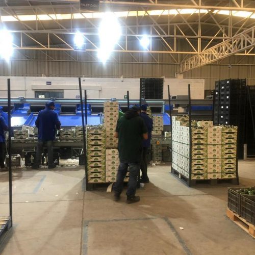 WhatsApp Image 2022-02-09 at 09.00.28